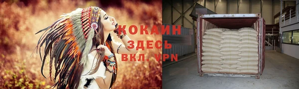 индика Алексеевка