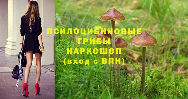 мескалин Абаза