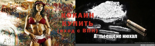 ГАЛЛЮЦИНОГЕННЫЕ ГРИБЫ Алзамай
