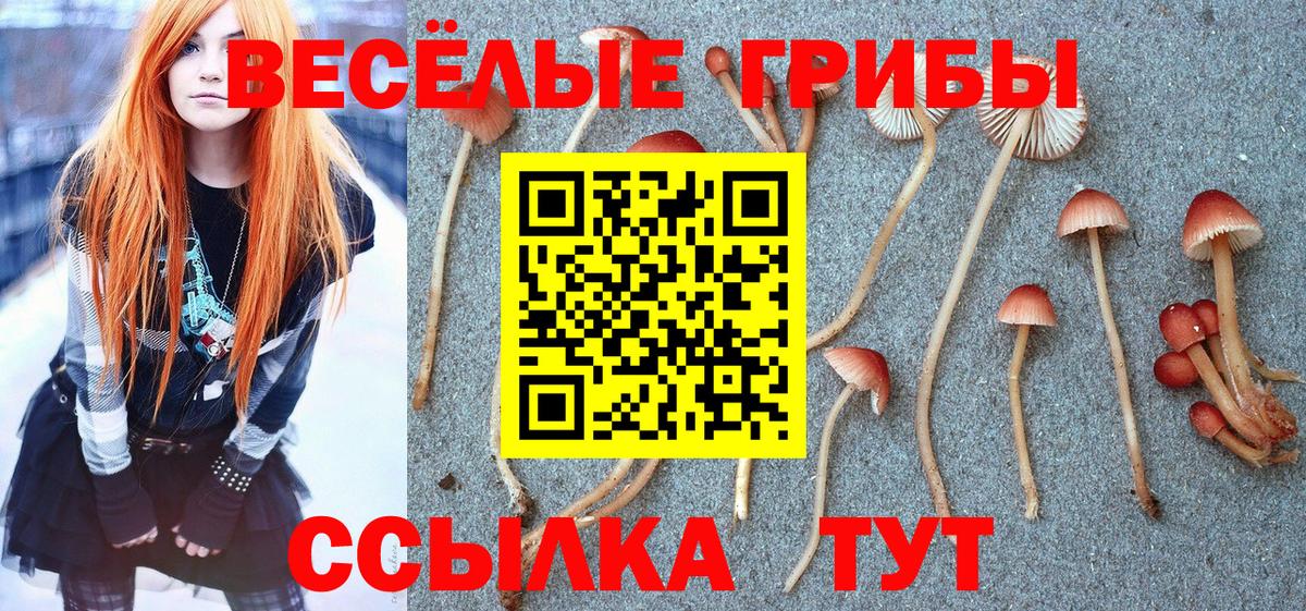 Галлюциногенные грибы мицелий Югорск